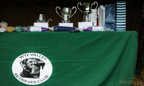 Trophies